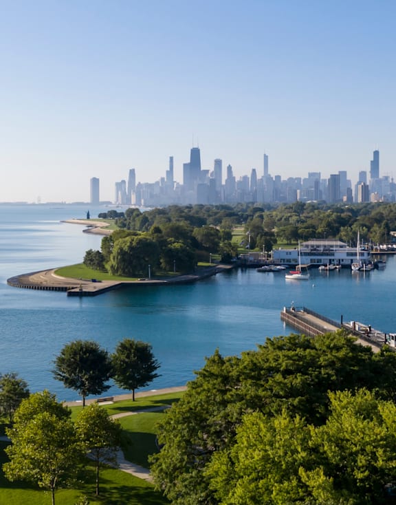 A city skyline is visible in the distance behind a body of water.