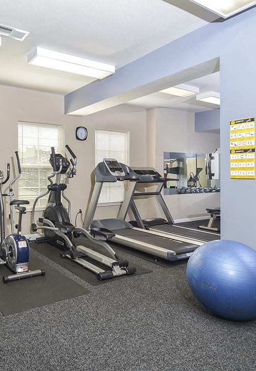 Fitness Center Workout Area