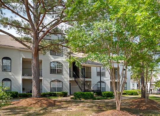Outdoor trees at Crosswinds Apartments, Mississippi