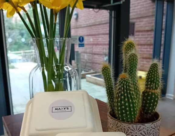 Two white Maxxys trays on a table with a cactus and yellow flowers in the background.