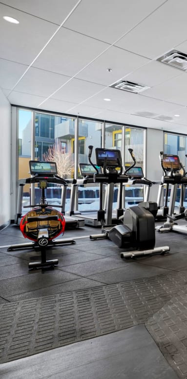 a large fitness room with treadmills and other exercise equipment