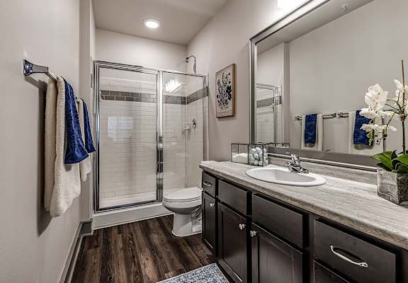 A bathroom with a sink, mirror, and shower.