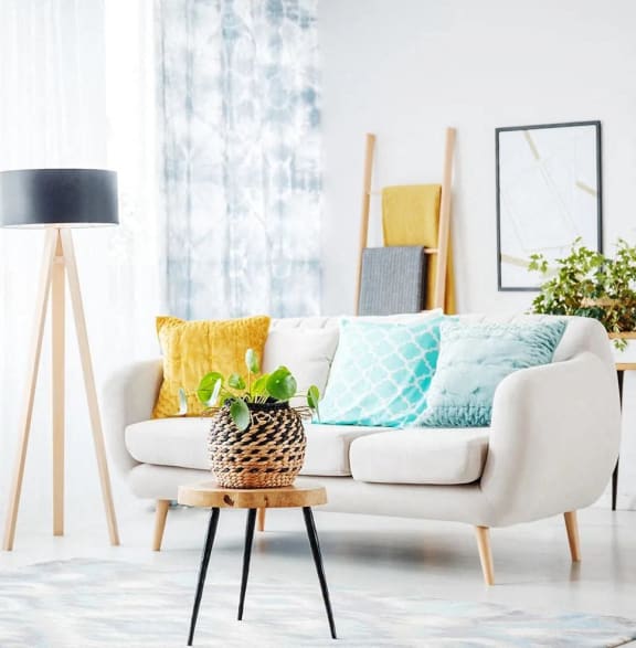 a living room with a couch and a table with a potted plant