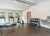 Thumbnail 9 of 18 - Treadmills Free Weights