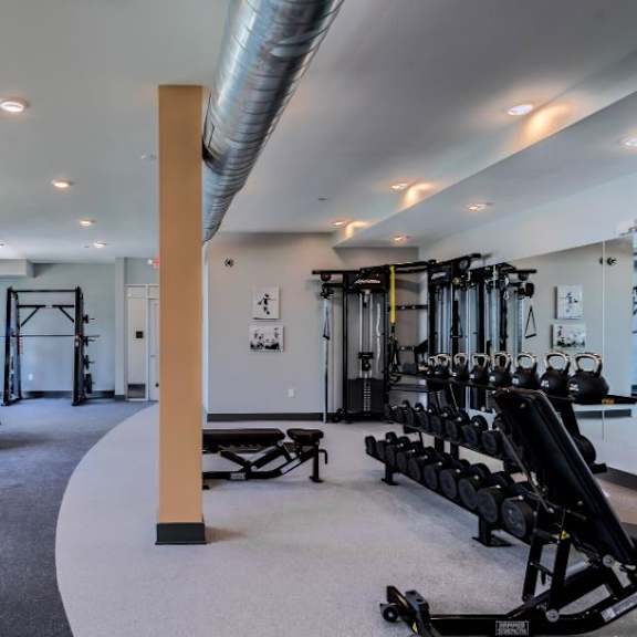 A gym with a variety of equipment including treadmills, weights, and a rowing machine.