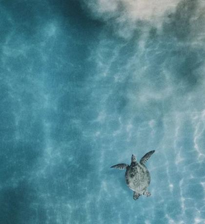 Stock image of ocean