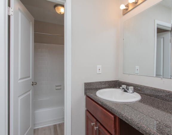 a bathroom with a sink and a mirror and a shower