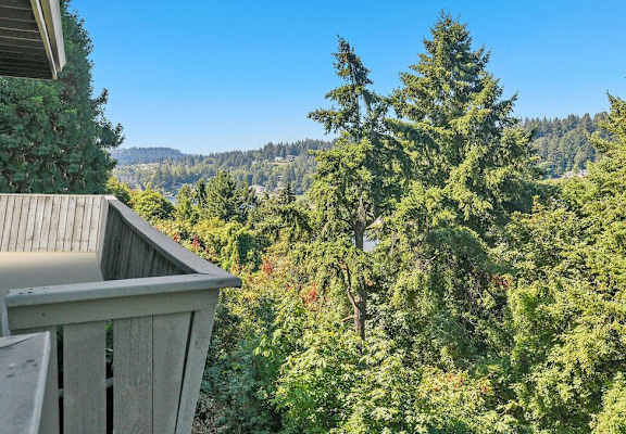 views of the trees from the balcony of a cabin