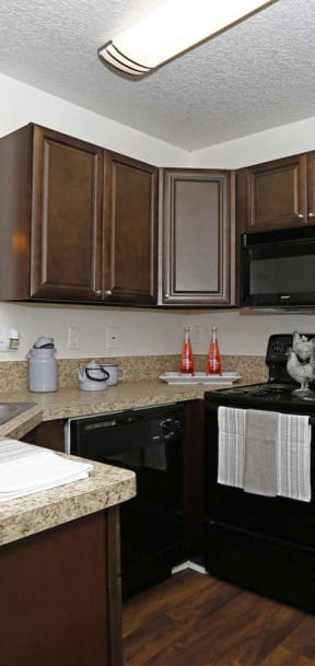 full kitchen with black appliances and granite counter tops and a black refrigerator