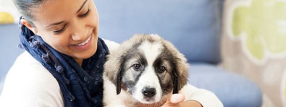 Woman and Puppy at San Marin Apartments in Austin, TX 78759