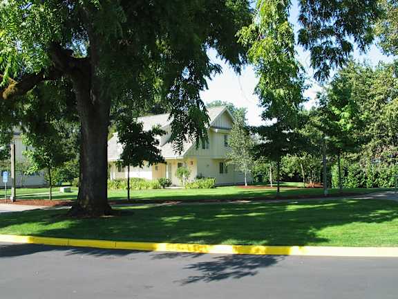 A tree in front of a house.