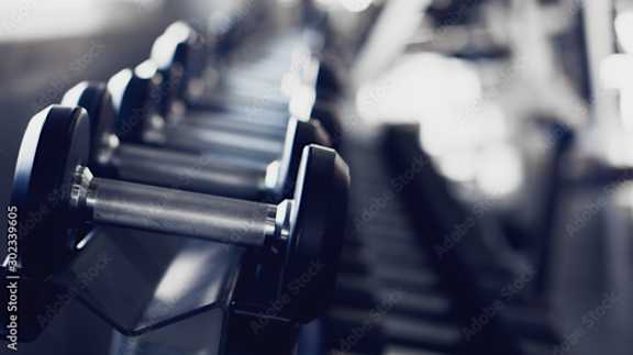 a row of dumbbells on a rack in a gym