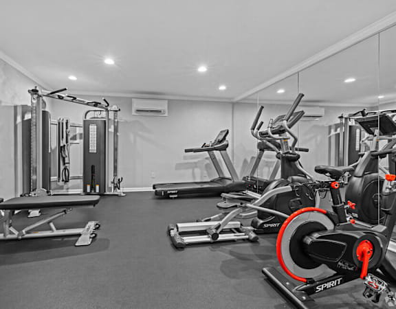 a gym with a lot of exercise equipment