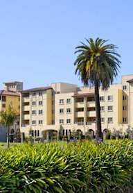 A large building with a palm tree in front of it.