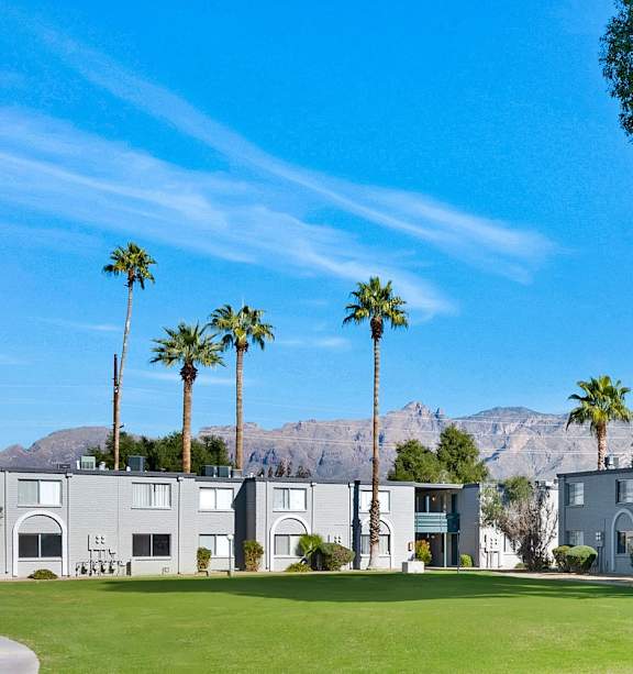 A row of houses with palm trees in front.