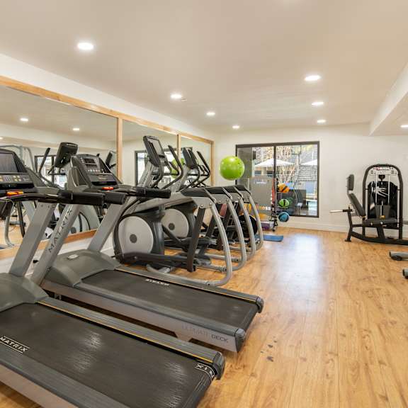 A gym with treadmills and other exercise equipment.