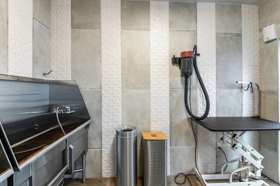 Pet Wash at Centre Pointe Apartments, Melbourne, FL
