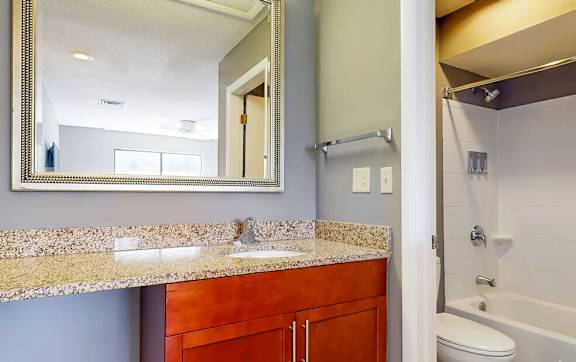 a bathroom with a sink and a toilet and a mirror
