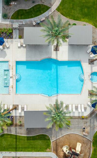A large swimming pool surrounded by palm trees and a patio area with a fire pit.