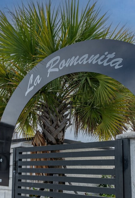 the sign in front of a palm tree