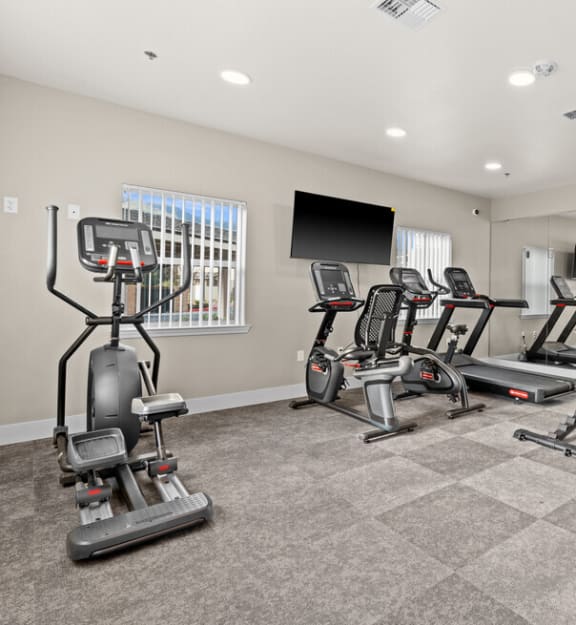 the gym is equipped with cardio equipment and state of the art cardio machines and weights