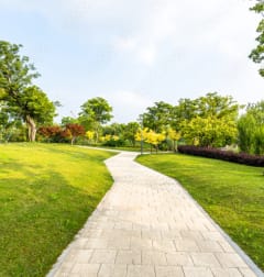 a pathway through a park with grass and trees