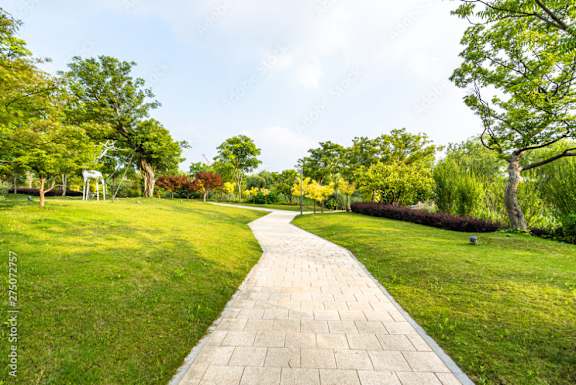 a pathway through a park with grass and trees