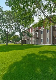 our apartments offer a spacious courtyard with green grass and trees