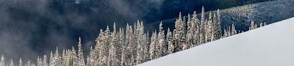 The Baily Range | Hurricane Ridge, ONP | Element: Nature