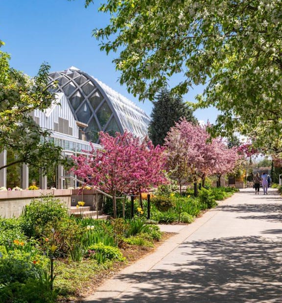 A pathway in a park with a greenhouse in the background.