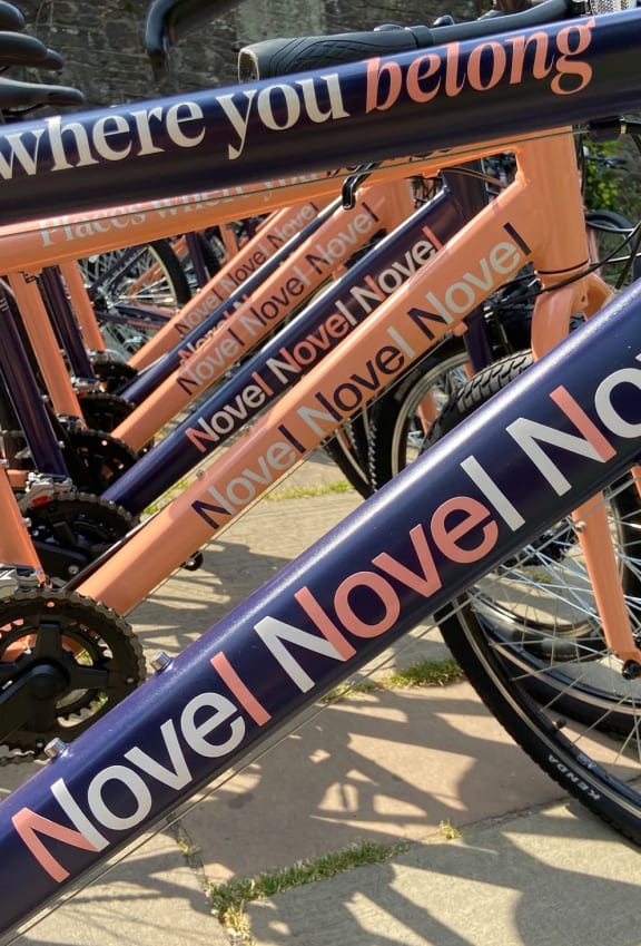 a row of bikes with none none none signs on them