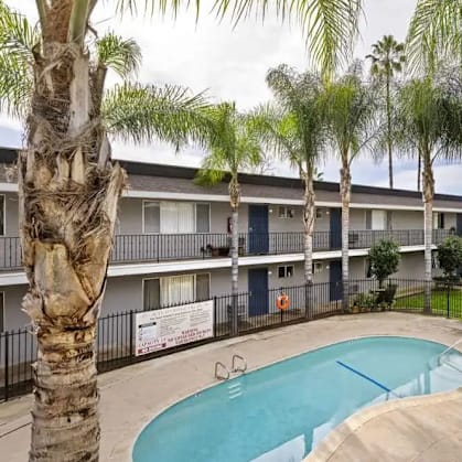 A pool surrounded by palm trees and apartment buildings.