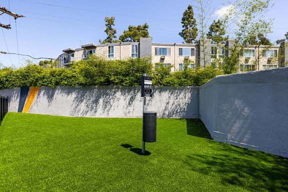 A small patch of grass in a yard.