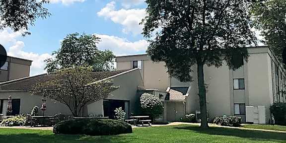 A large tree stands in front of a building.