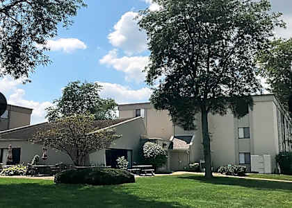 A large tree stands in front of a building.
