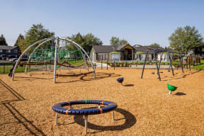 Playground at Cedar House, Vancouver, 98682