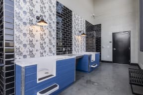 dog wash room with two tubs and dryers