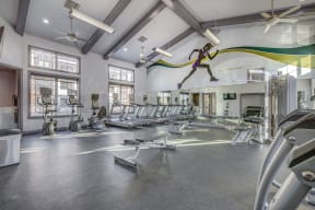 Park Lane Village Gym with Equipment in Rows