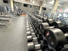 Free Weights In Gym at The Residences on High Street, Arizona, 85054