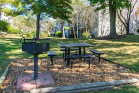 Outdoor Grilling and Picnic Area