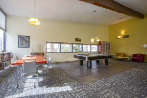 Activity Area and Pool Table