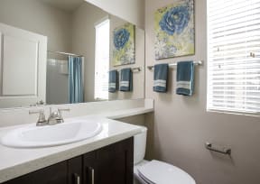 Bathroom at Avilla Victoria in Queen Creek Arizona 2021