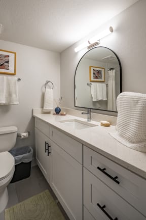 Bathroom Vanity at Polanco Apartments