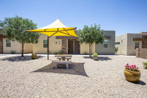 Landscaping at Avilla Marana in Marana AZ June 2021 (6)