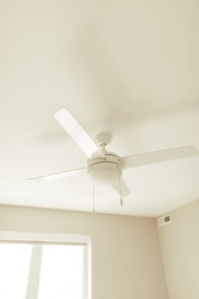 Ceiling fan