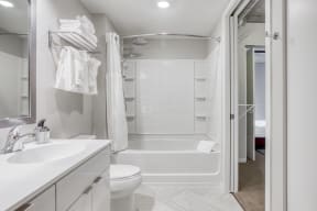 Bathroom with Soaking Tub
