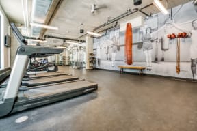 Fitness Boxing Area