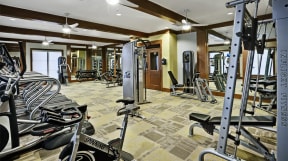 24hr Fitness Center - Weight Machines