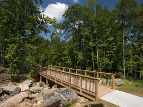 walking trail