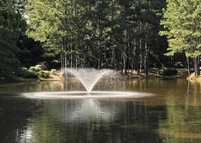 Beautiful Lake with Fountain at Lullwater at Calumet, Newnan, GA, 30263